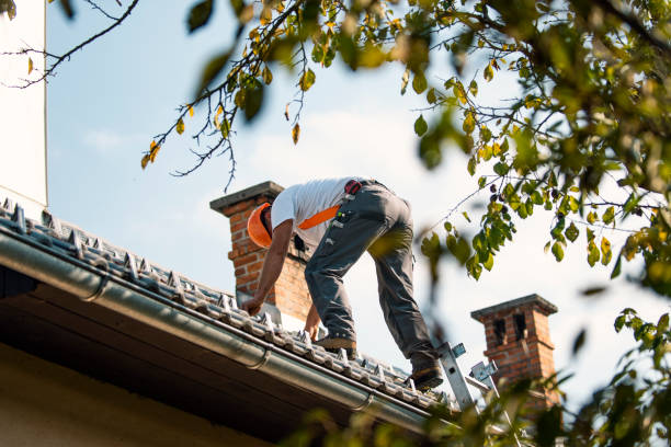 Best Roof Restoration Services  in Deerfield, MI