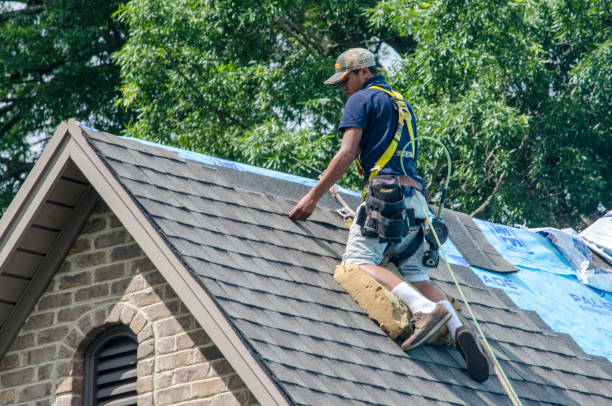 Best Roof Gutter Cleaning  in Deerfield, MI